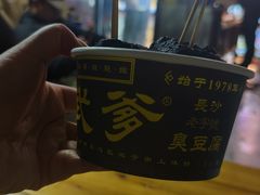 -武爹臭豆腐(坡子街店)