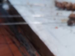 -小杨烤肉(朱雀店)