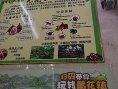 -银峰农庄·特色烧鸡·鲜无花果浸鸡