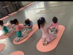 -舞蕾舞蹈(特长生校区)