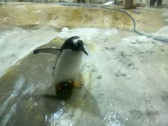 -威海华夏城景区