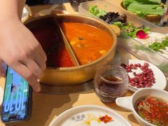 -东道煮牛肉火锅(东盛大街店)