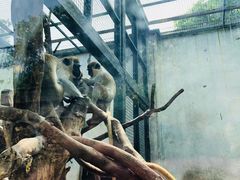 -无锡动物园·太湖欢乐园