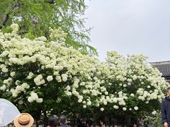 -常熟方塔园