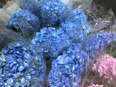 -循礼门鲜花花市(武汉循礼门店)