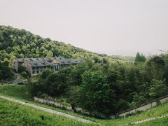 -龙坞茶村