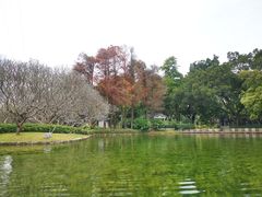 -晓港公园