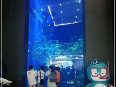 -成都浩海立方海洋公园