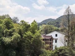 -野蔓果·山野菜(西湖景区·龙井茶田店)