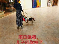 -日本大使馆-新闻文化中心