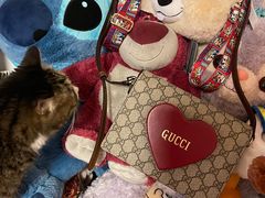 -Gucci(北京金融街购物中心店)