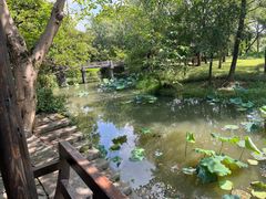 -西溪国家湿地公园