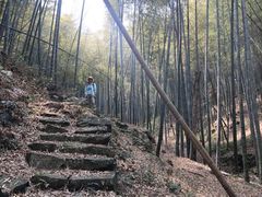 -宁波浙东大竹海景区