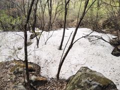 -白草畔自然风景区