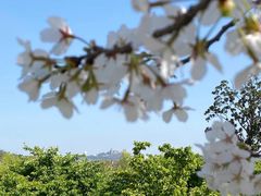 -上海辰山植物园