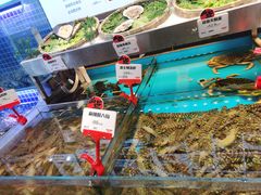 水产区-必点海鲜·鲅鱼水饺(鞍山西道店)