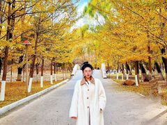 -长白岛森林公园