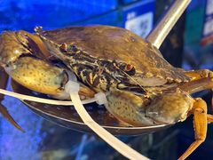 -友强·23年特色海鲜大排档(厦门店)