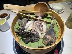 客家黑鸡汤-黑鸡小馆(金源店)