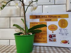 -赏饮·WILL TEA