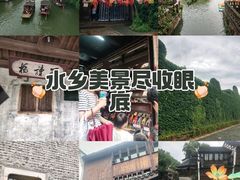 -乌镇景区