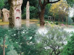 -中国科学院华南植物园