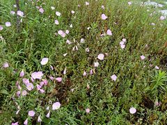 -中国天府农业博览园