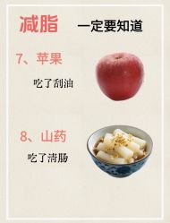 -Fundi张玉珊修身堂·indiba·BTL科技瘦身
