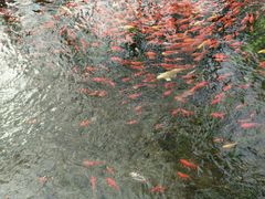 -水磨沟公园