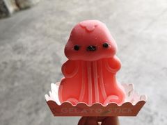 -上海海昌海洋公园