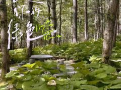 -洛阳白云山景区