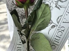 -FEI FEI FLOWER鲜花店·气球派对·宝宝宴布置(虹口德必运动Loft店)
