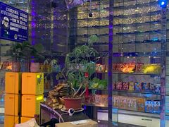 -K歌之王量贩式KTV(洪楼店)