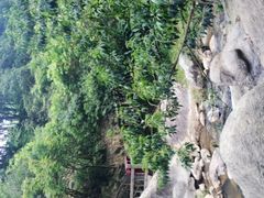-秦岭天竺山景区