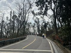 -岳麓山风景名胜区