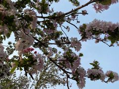 -元大都城垣遗址公园