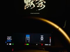 -枫花园汽车电影院(朝阳公园店)