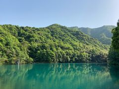 -龙坞茶村