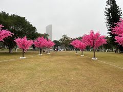 -万绿园