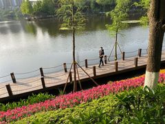 -重庆彩云湖湿地公园