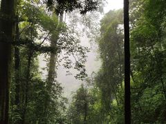 -青城山