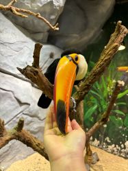 -Zoolung Zoolung动物主题公园(海信广场店)