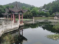 -青龙山国家森林公园