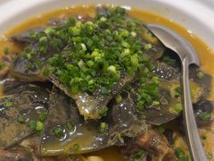 -东湖印象汉寿特色甲鱼钵子菜(渔人码头店)