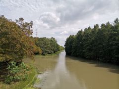 -上海海湾国家森林公园