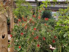 -呀路古热带植物园