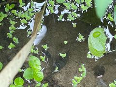 -九里河湿地公园