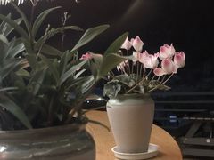 -大理石门关温泉