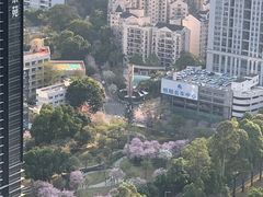 -景田北六街公园宠物主题园