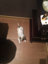 -永琪美容美发